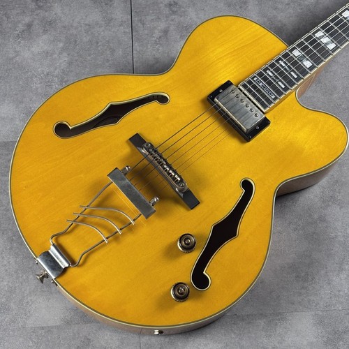 Ibanez pm2 528332 - ibanez,
