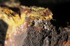 Variscit,  Grube Rotläufchen, Waldgirmes, Hessen # 336