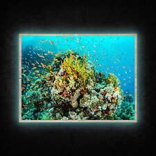 LED Leuchtbild - Korallenriff