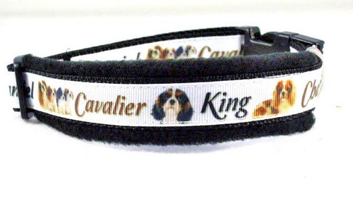 Hundehalsband cavalier king - hundehalsband,