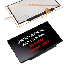 15,6" LED Display matt passend