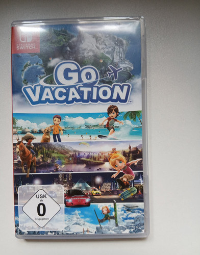 Nintendo vacation - vacation,
