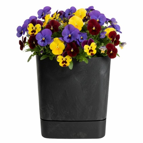 Howhomely blumenkübel - howhomely,