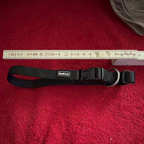 Anione hundehalsband aus - hundehalsband, nylon