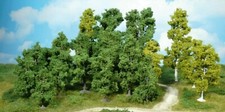 Heki 1952 Bäume 14 Laubbäume