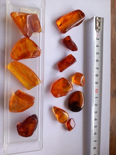 Bernsteine zum teil - bernsteine,