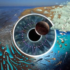 Pulse Vinyl Pink Floyd -