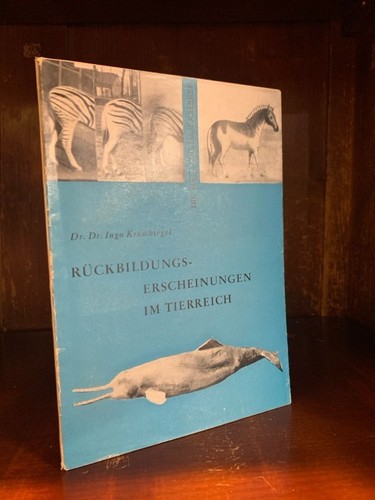 Rückbildungserscheinungen - , im
