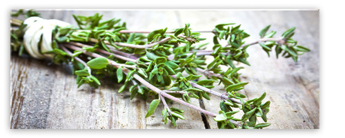 Küchenbild green herbs - küchenbild, |