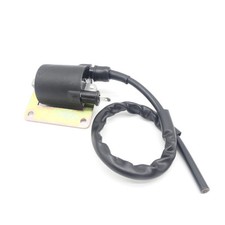 Zündspule 12 Volt für