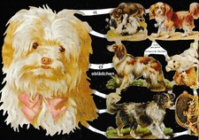 # GLANZBILDER  # EF 7070 Hunde