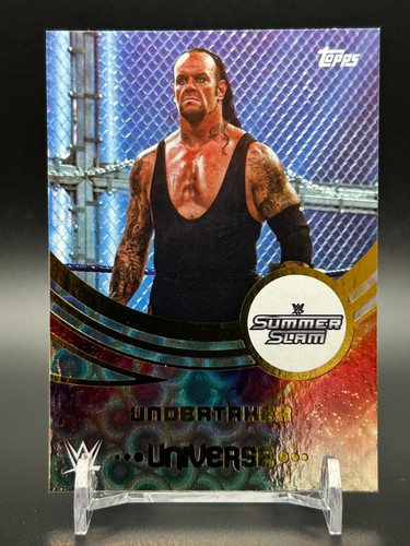 2025 topps universe - 2025, wwe