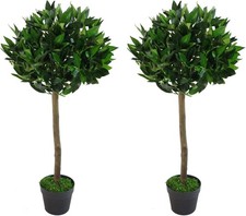 Paar 90cm Lorbeer Topiary