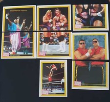  WWF Sticker Merlin 1993 (18)