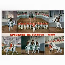 AK Wien Spanische Hofreitschule Reitschule / Lipizzaner Dressur, Pferde