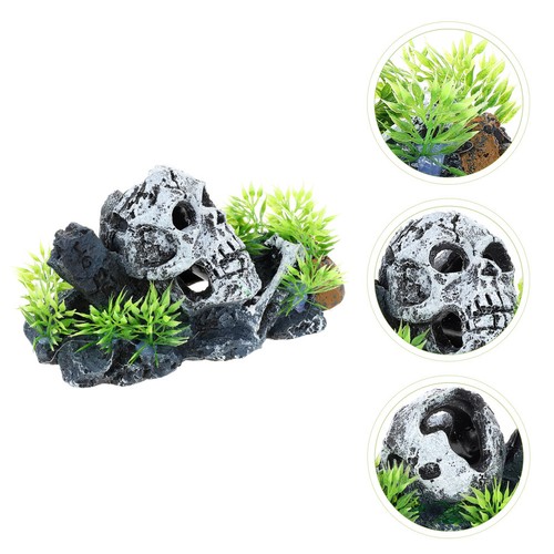 Aquarium totenkopf - aquarium,
