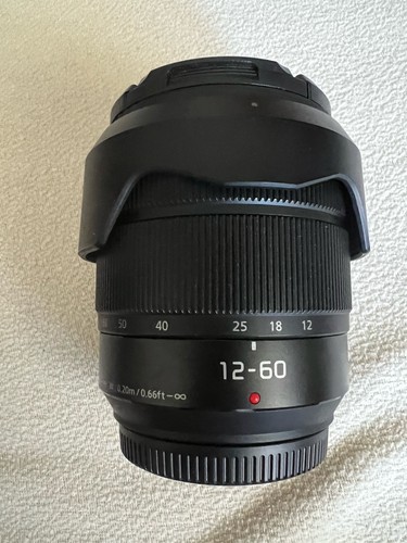 Panasonic lumix vario 60 - g,