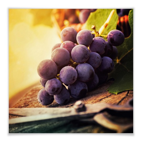 Poster weinlese wandbild deko - poster,