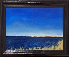 Original Ölgemälde Ostsee Bodden Schilf Sky Impressionismus  Handgemalt Rahmen