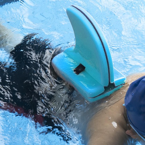 Swim kickboard foam - swim,