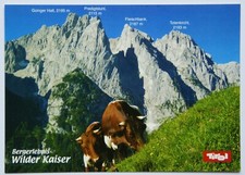 Postkarte Wilder Kaiser / Österreich