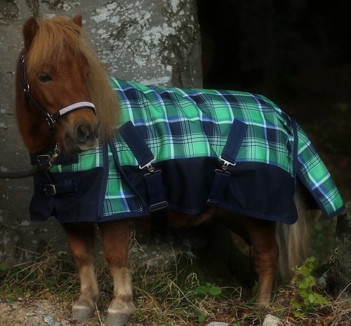 Regendecke mini shetty 200 - regendecke,