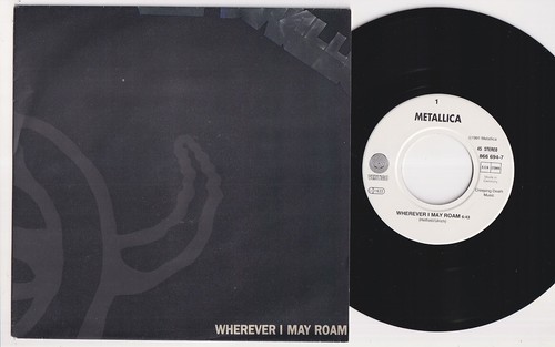 Metallica wherever i may - metallica, *