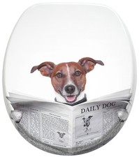 WC SITZ TOILETTENDECKEL