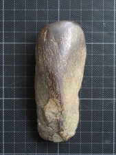 Alte Steinaxt / Steinbeil der Aborigines, Australien 10,5 cm, vor 1950