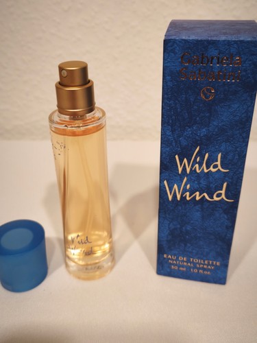Gabriela sabatini wild wind - ,