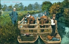 Ansichtskarte  Spreewald Viehtransort Boot Kühe Vieh Personen um 1910