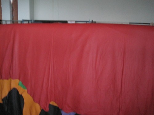 Lederhaut - ,