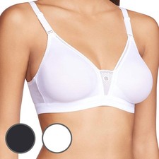 Triumph Triaction Trophy N