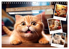 Süße Katzen und coole