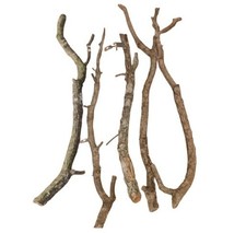 5 Kork Äste 70-80cm lang, 1