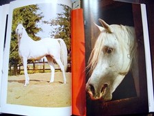 Ghazal - Fürst der Pferde *