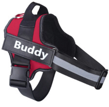 Hundegeschirr personalisiert