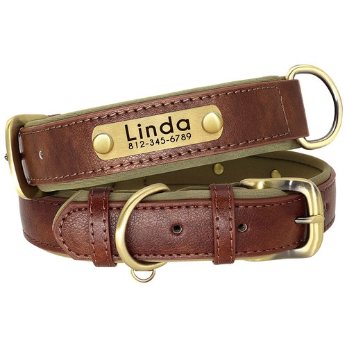 Personalisiert hundehalsband - personalisiert,