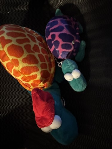 Heye crazy zoo mordillo - crazy,