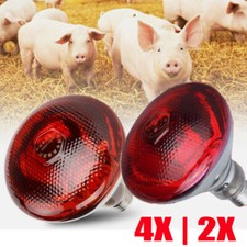 2/4X Rotlichtlampe Infrarotlampe Wärmelampe Tiere Infrarotbirne Heizlampe 250W↕