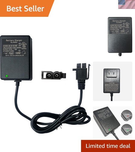 Volt charger for - 12,