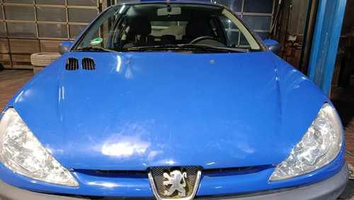 Motorhaube lackierbedüftig - (,