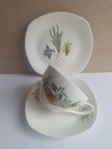 Midwinter plant life tasse - midwinter,