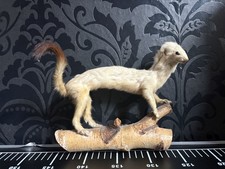 Hermelin Präparat ausgestopft