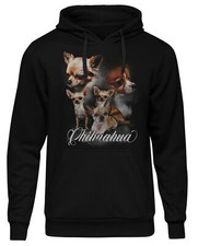 Chihuahua Männer