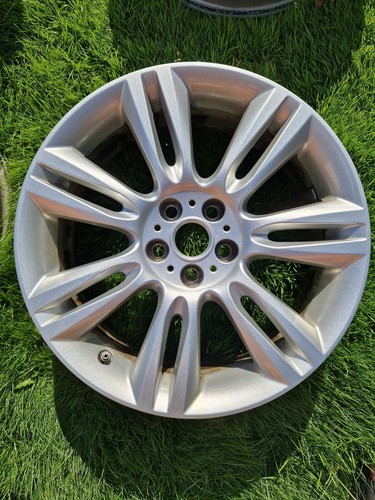 Jaguar pfelgen silber - pfelgen,