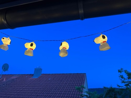 The peanuts snoopy led - the,