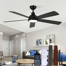 Deckenventilator Mit