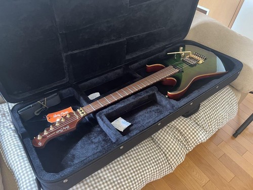 Gitarre harley benton max - e-gitarre,