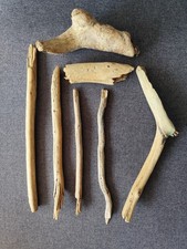 Bodensee Schwemmholz Treibholz – Ideal für DIY & Bastelprojekte, Deko, Natur ?